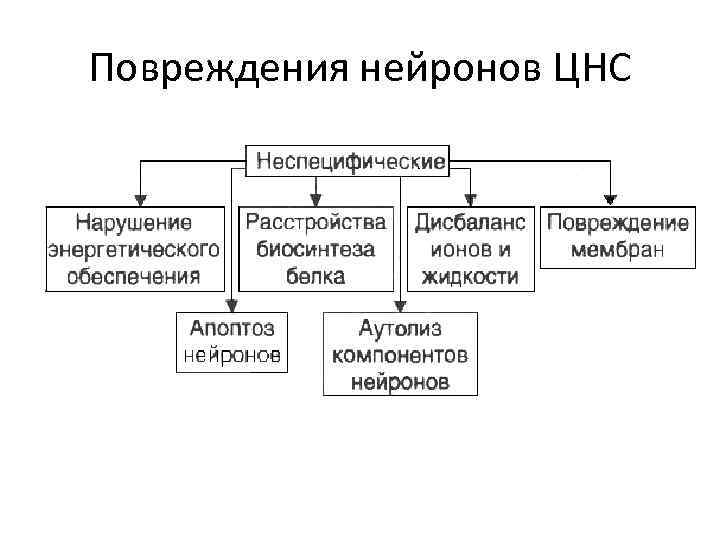 Повреждения нейронов ЦНС 