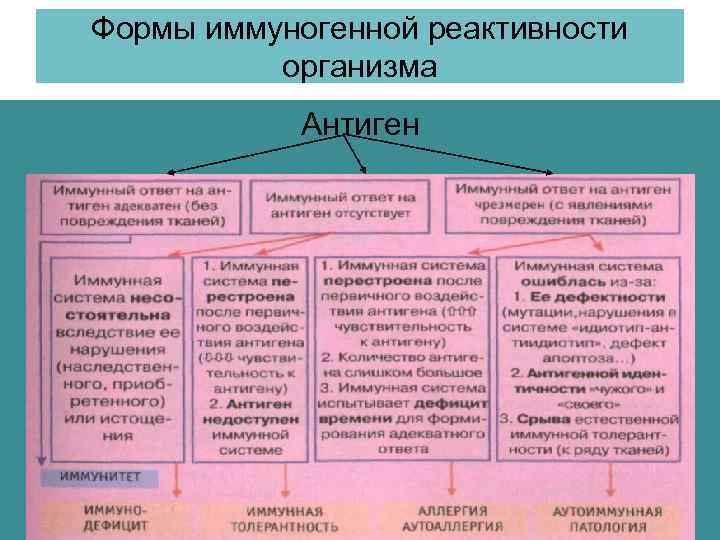 Формы иммуногенной реактивности организма Антиген 