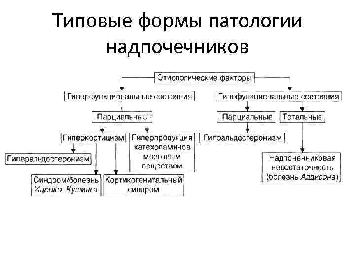 Типовые формы патологии надпочечников 