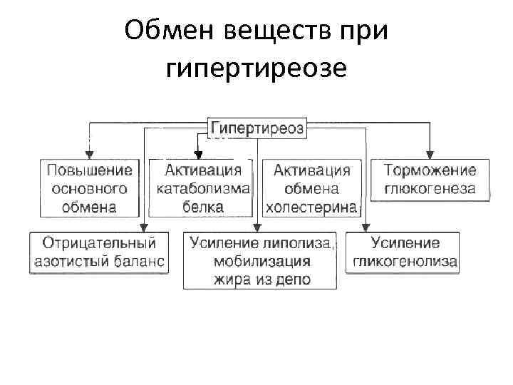 Обмен веществ при гипертиреозе 