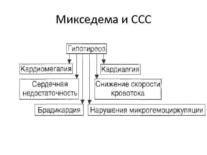 Микседема и ССС 