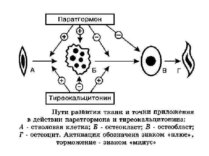 Нарисуйте схему развития запредельного торможения рис 309