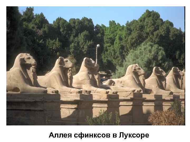 Аллея сфинксов в Луксоре 