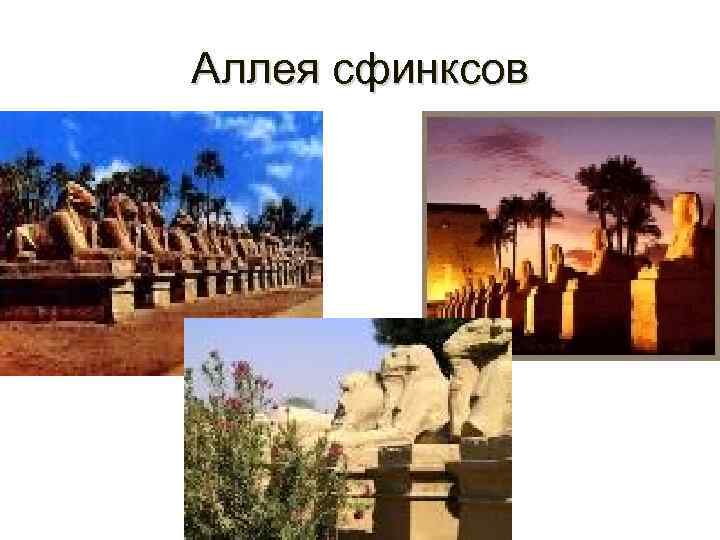 Аллея сфинксов • 
