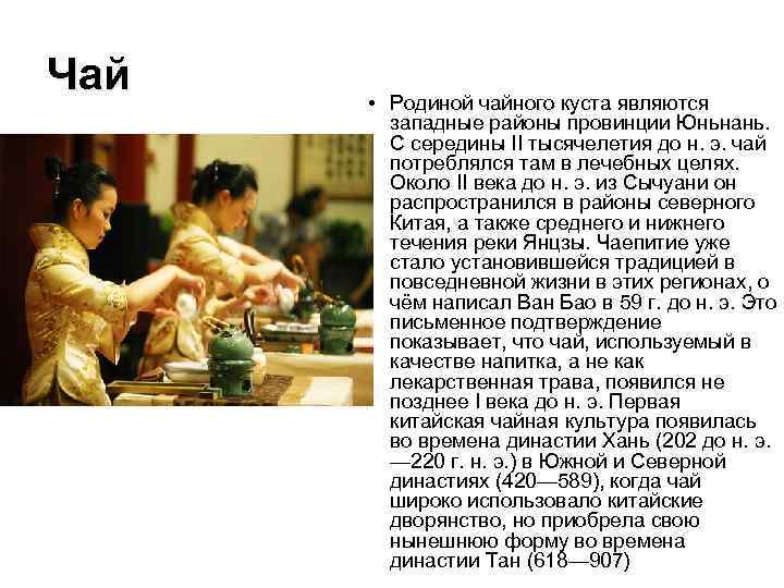 Чай • Родиной чайного куста являются западные районы провинции Юньнань. С середины II тысячелетия