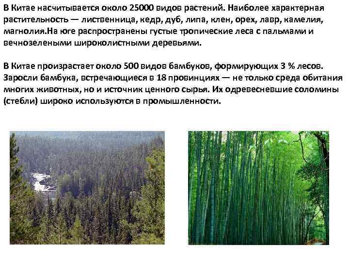 В Китае насчитывается около 25000 видов растений. Наиболее характерная растительность — лиственница, кедр, дуб,