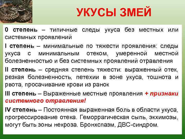 УКУСЫ ЗМЕЙ 0 степень – типичные следы укуса без местных или системных проявлений I