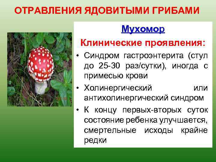 ОТРАВЛЕНИЯ ЯДОВИТЫМИ ГРИБАМИ Мухомор Клинические проявления: • Синдром гастроэнтерита (стул до 25 -30 раз/сутки),