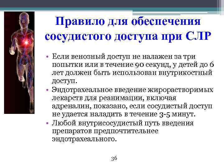 Правило для обеспечения сосудистого доступа при СЛР • Если венозный доступ не налажен за