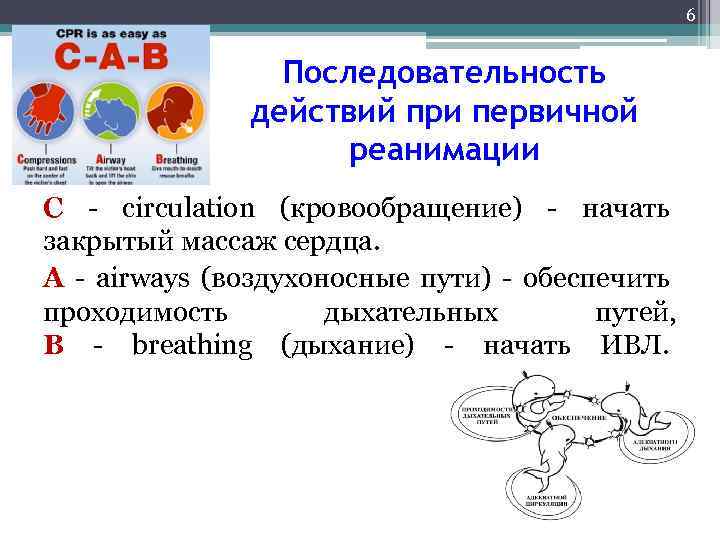 6 Последовательность действий при первичной реанимации С - circulation (кровообращение) - начать закрытый массаж