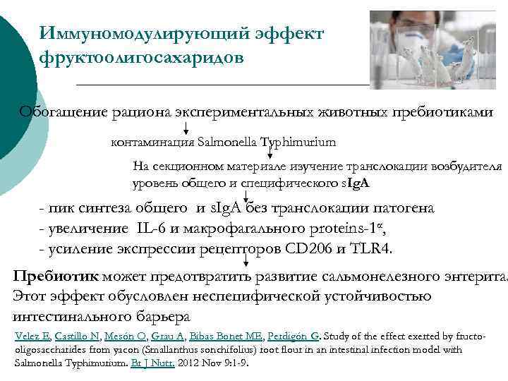 Иммуномодулирующий эффект фруктоолигосахаридов Обогащение рациона экспериментальных животных пребиотиками контаминация Salmonella Typhimurium На секционном материале