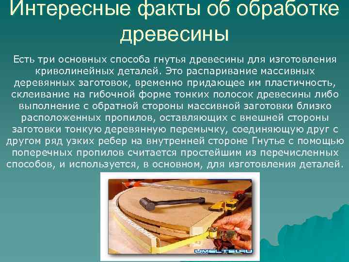 Интересные факты об обработке древесины Есть три основных способа гнутья древесины для изготовления криволинейных
