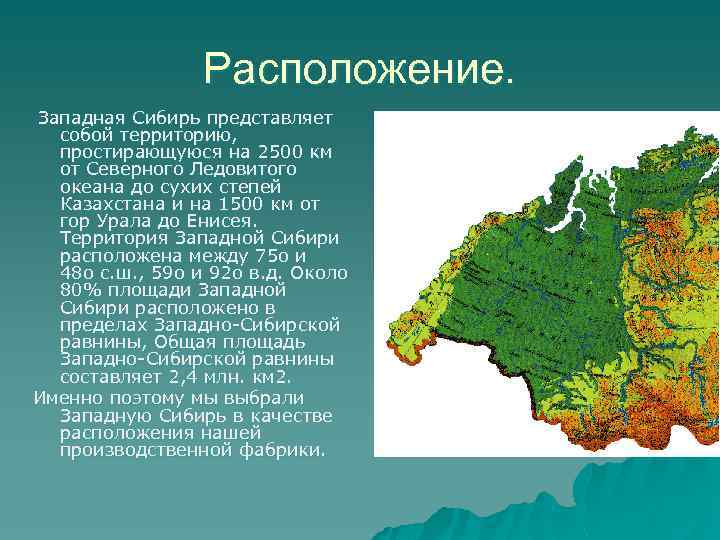 Расположение Западной Сибири. Географическое положение Западной Сибири.