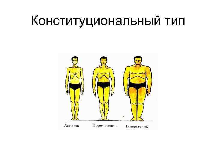 Конституциональный тип 