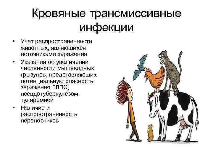 Кровяные трансмиссивные инфекции • Учет распространенности животных, являющихся источниками заражения • Указания об увеличении