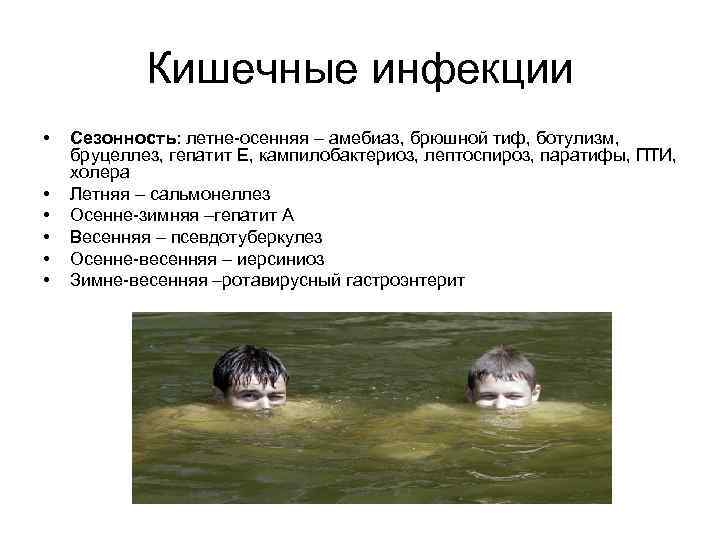 Кишечные инфекции • • • Сезонность: летне-осенняя – амебиаз, брюшной тиф, ботулизм, бруцеллез, гепатит