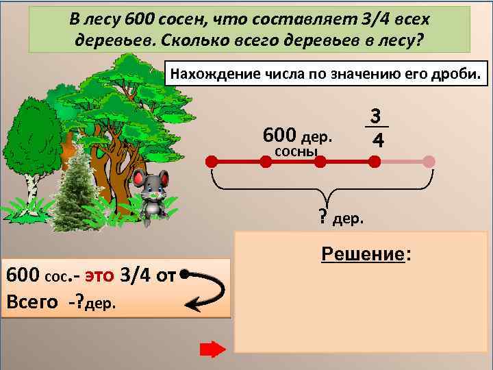 В лесу 600 сосен, что составляет 3/4 всех деревьев. Сколько всего деревьев в лесу?