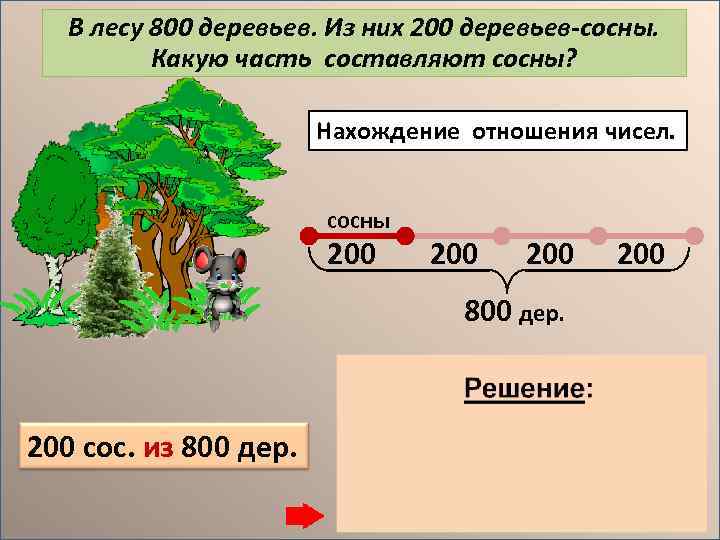 В лесу 800 деревьев. Из них 200 деревьев-сосны. Какую часть составляют сосны? Нахождение отношения