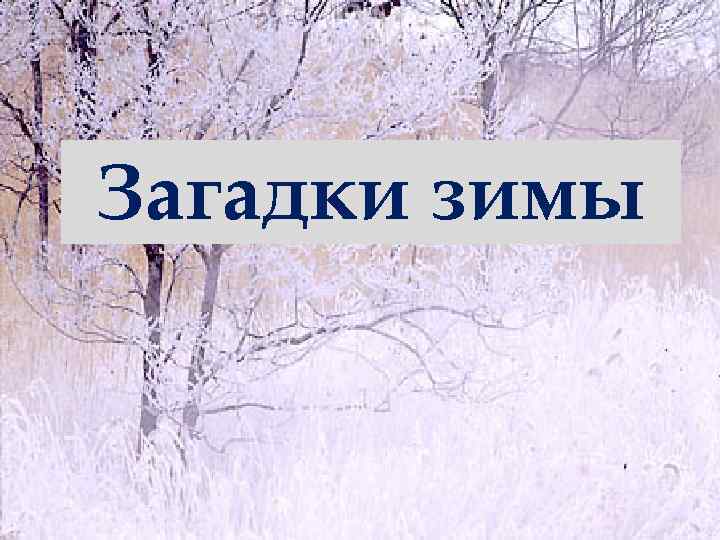 Загадки зимы 