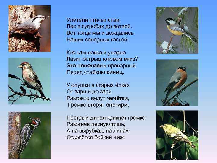 Улетели птичьи стаи, Лес в сугробах до ветвей. Вот тогда мы и дождались Наших