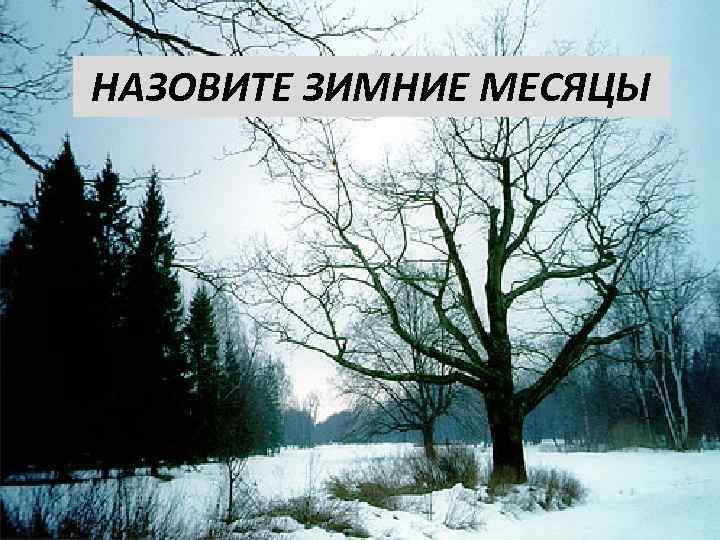 НАЗОВИТЕ ЗИМНИЕ МЕСЯЦЫ 
