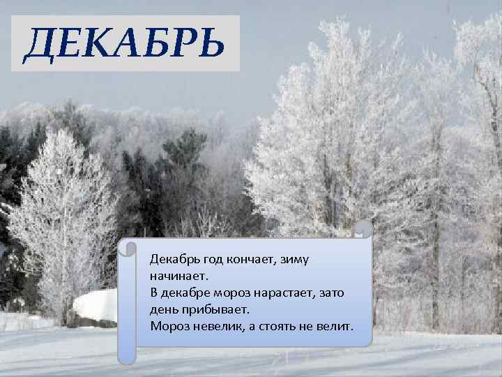 ДЕКАБРЬ Декабрь год кончает, зиму начинает. В декабре мороз нарастает, зато день прибывает. Мороз