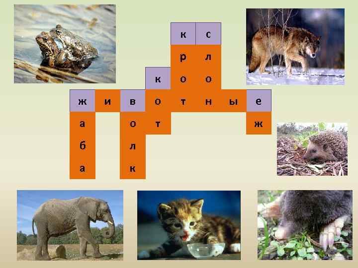 к с р л к о о в о т н а о т