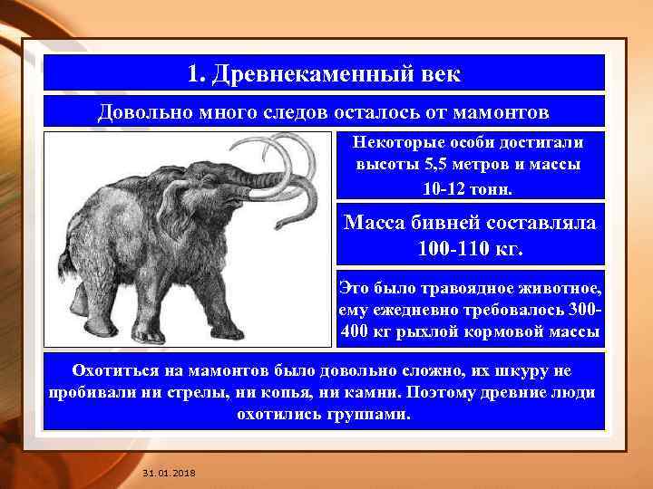 1. Древнекаменный век Довольно много следов осталось от мамонтов Некоторые особи достигали высоты 5,