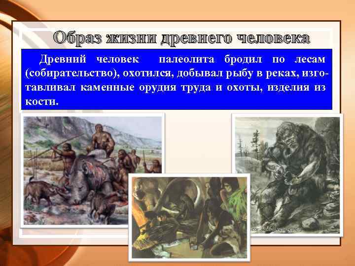 Образ жизни древнего человека Древний человек палеолита бродил по лесам (собирательство), охотился, добывал рыбу