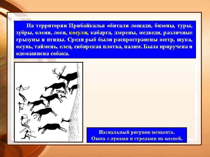 На территории Прибайкалья обитали лошади, бизоны, туры, зубры, олени, лоси, косули, кабарга, дзерены, медведи,