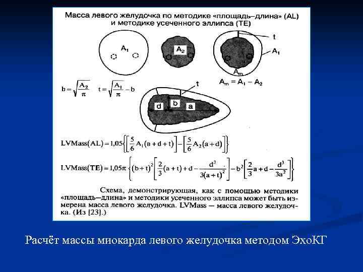 Расчёт массы миокарда левого желудочка методом Эхо. КГ 