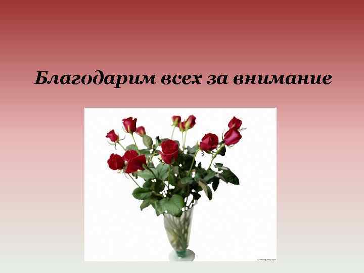 Благодарим всех за внимание 
