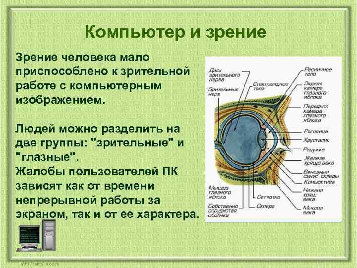 Компьютер и зрение Зрение человека мало приспособлено к зрительной работе с компьютерным изображением. Людей