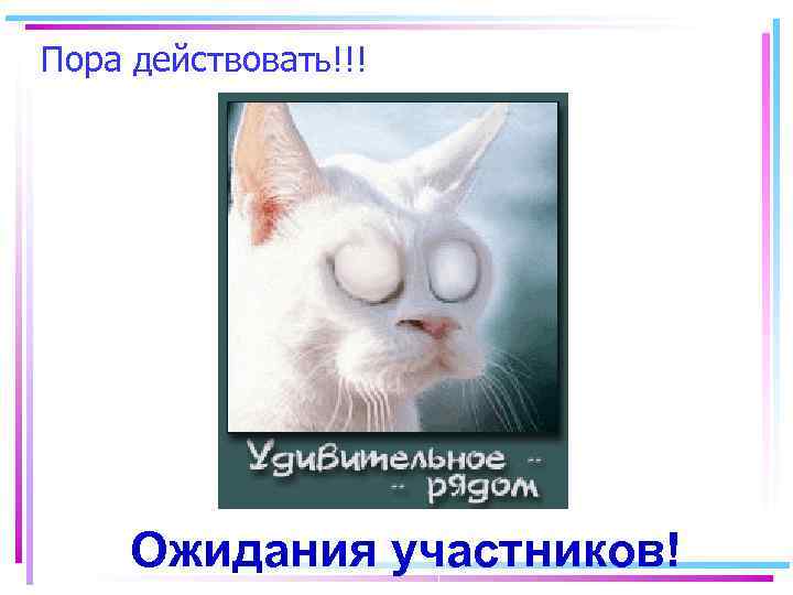 Пора действовать!!! Ожидания участников! 