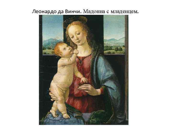 Леонардо да Винчи. Мадонна с младенцем. 