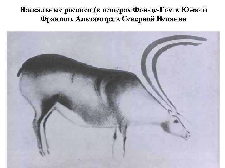 Наскальные росписи (в пещерах Фон-де-Гом в Южной Франции, Альтамира в Северной Испании 