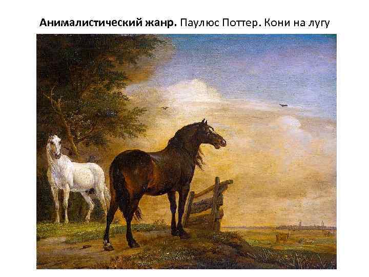 Анималистический жанр. Паулюс Поттер. Кони на лугу 