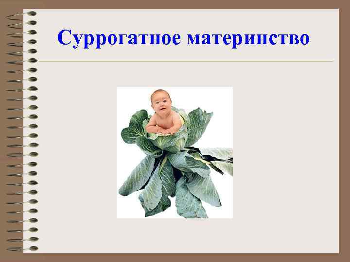 Суррогатное материнство 