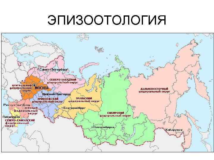 ЭПИЗООТОЛОГИЯ 