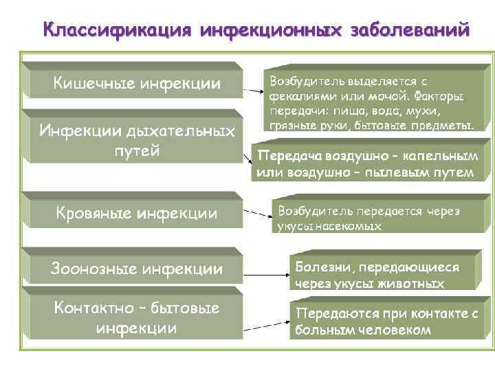 1с скопировать группу номенклатуры