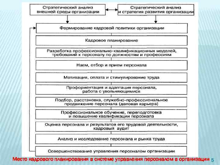 Место кадрового планирования в системе управления персоналом в организации 5 