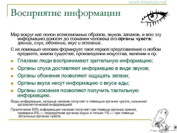 Восприятие информации Мир вокруг нас полон всевозможных образов, звуков, запахов, и всю эту информацию