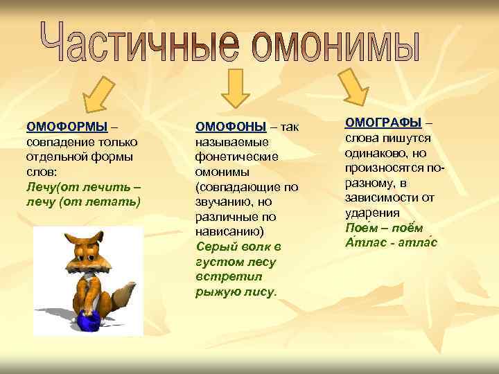 ОМОФОРМЫ – совпадение только отдельной формы слов: Лечу(от лечить – лечу (от летать) ОМОФОНЫ