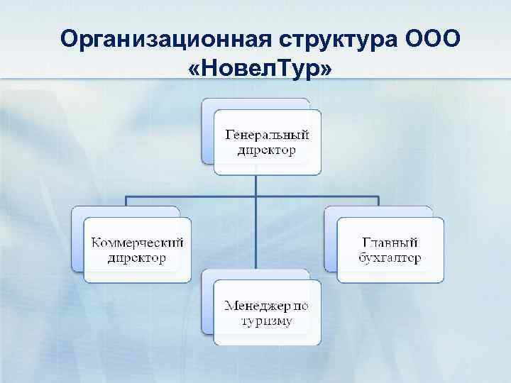 Организационная структура ООО «Новел. Тур» 