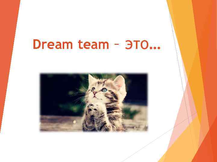 Dream team – это… 