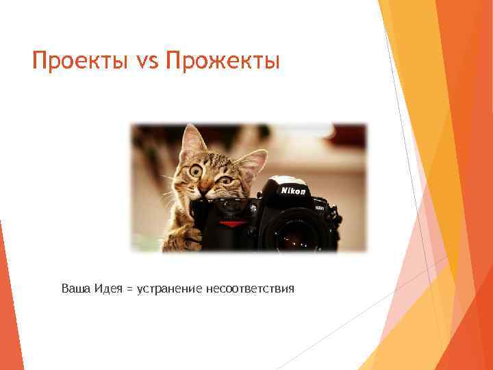 Проекты vs Прожекты Ваша Идея = устранение несоответствия 