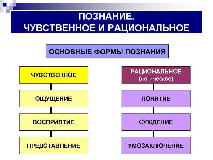 Многообразие форм познания план по обществознанию