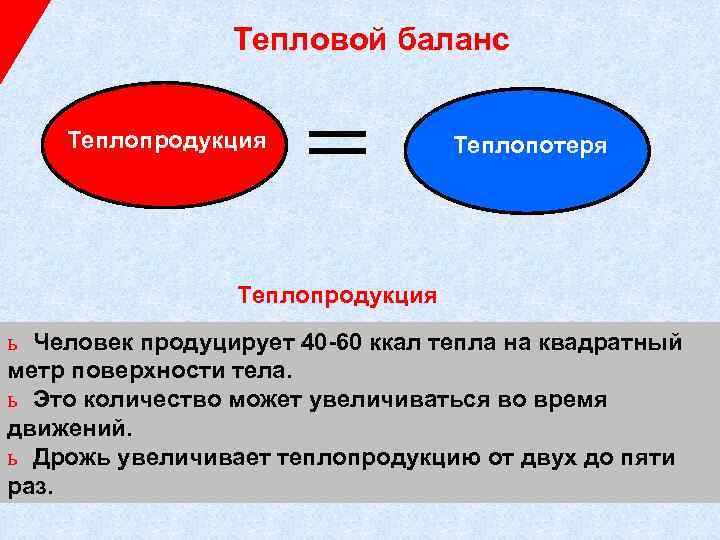 Тепловой баланс человека