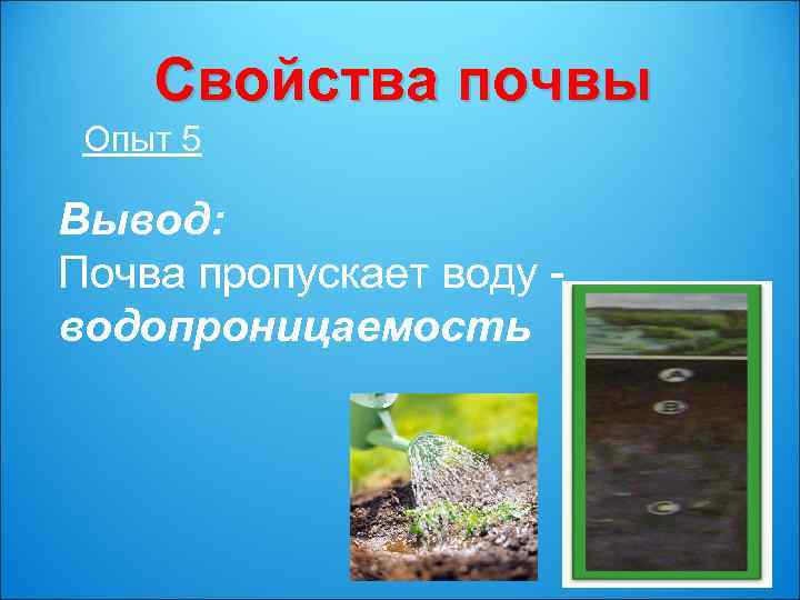 Свойства почвы Опыт 5 Вывод: Почва пропускает воду водопроницаемость 