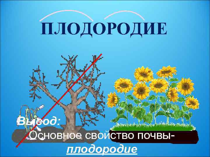 ПЛОДОРОДИЕ Вывод: Основное свойство почвыплодородие 